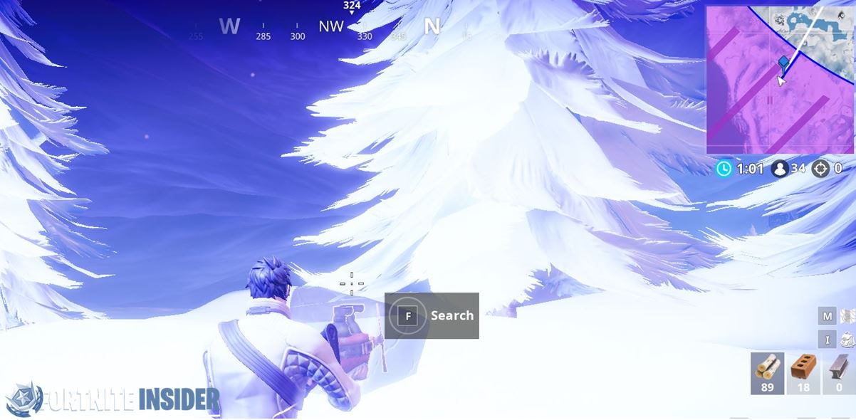 Fortnite Chilly Gnome - North of Frosty Flights