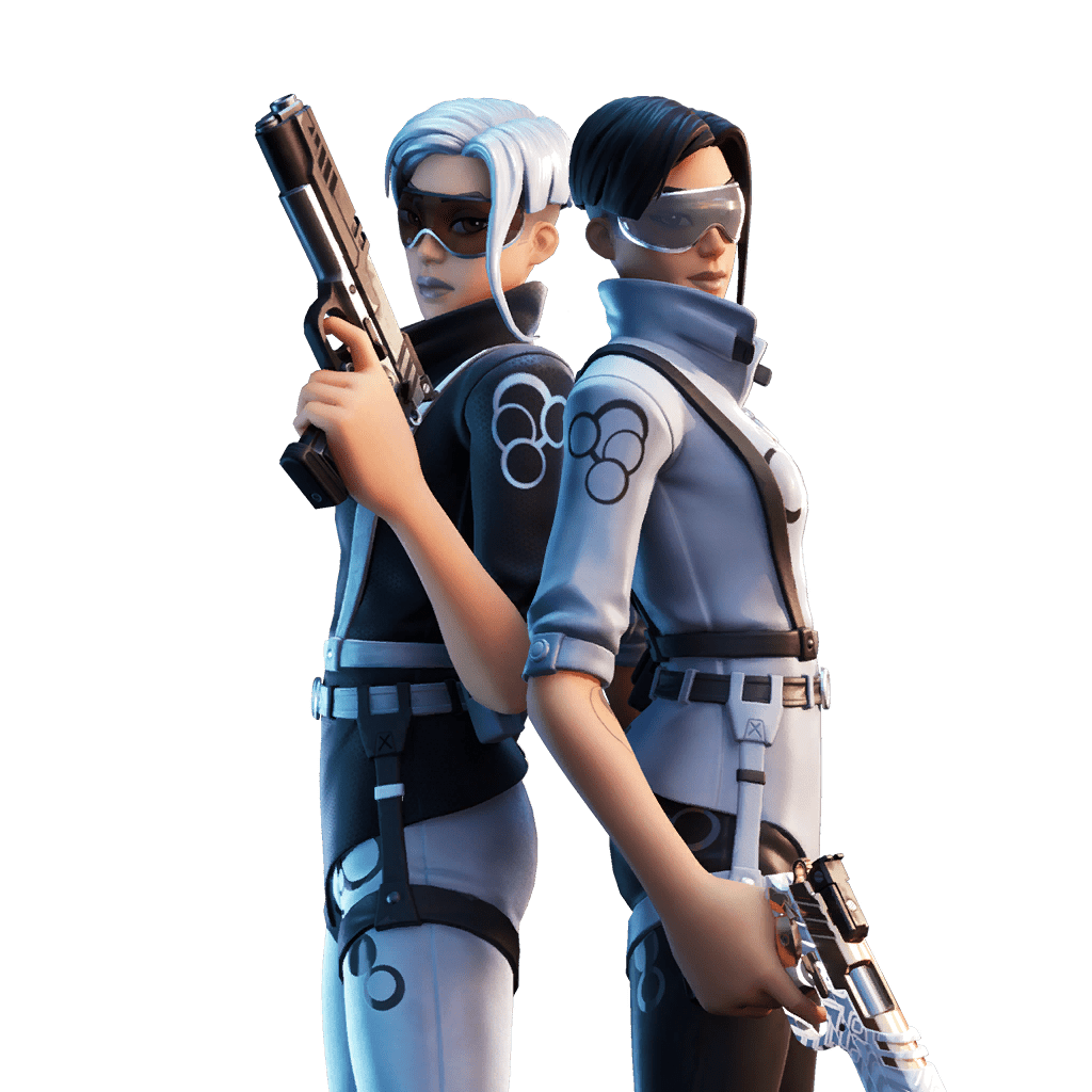 Fortnite v12.10 Leaked Skin - Echo