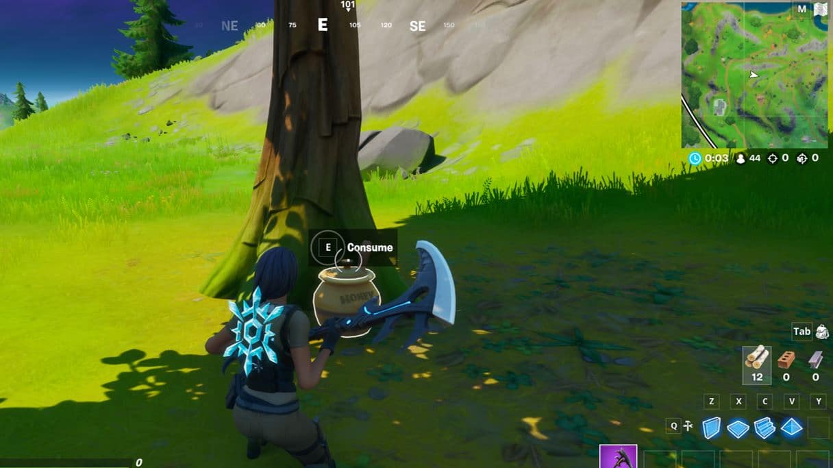 Fortnite Honey Pot Location - East of Weeping Woods