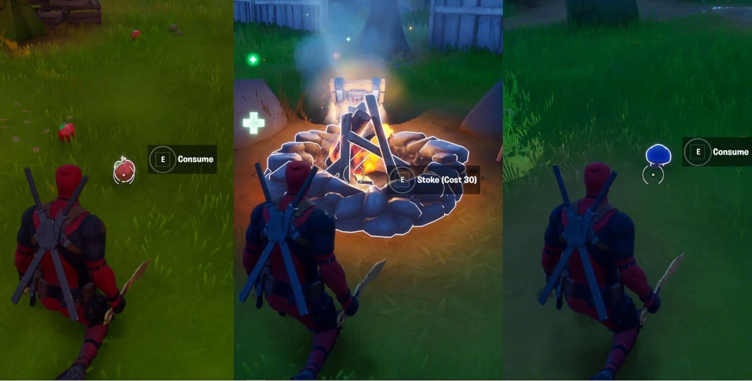 Fortnite - How and Where to Stoke a Campfire, Consume Foraged Apple, Consume Foraged Mushroom Quickly