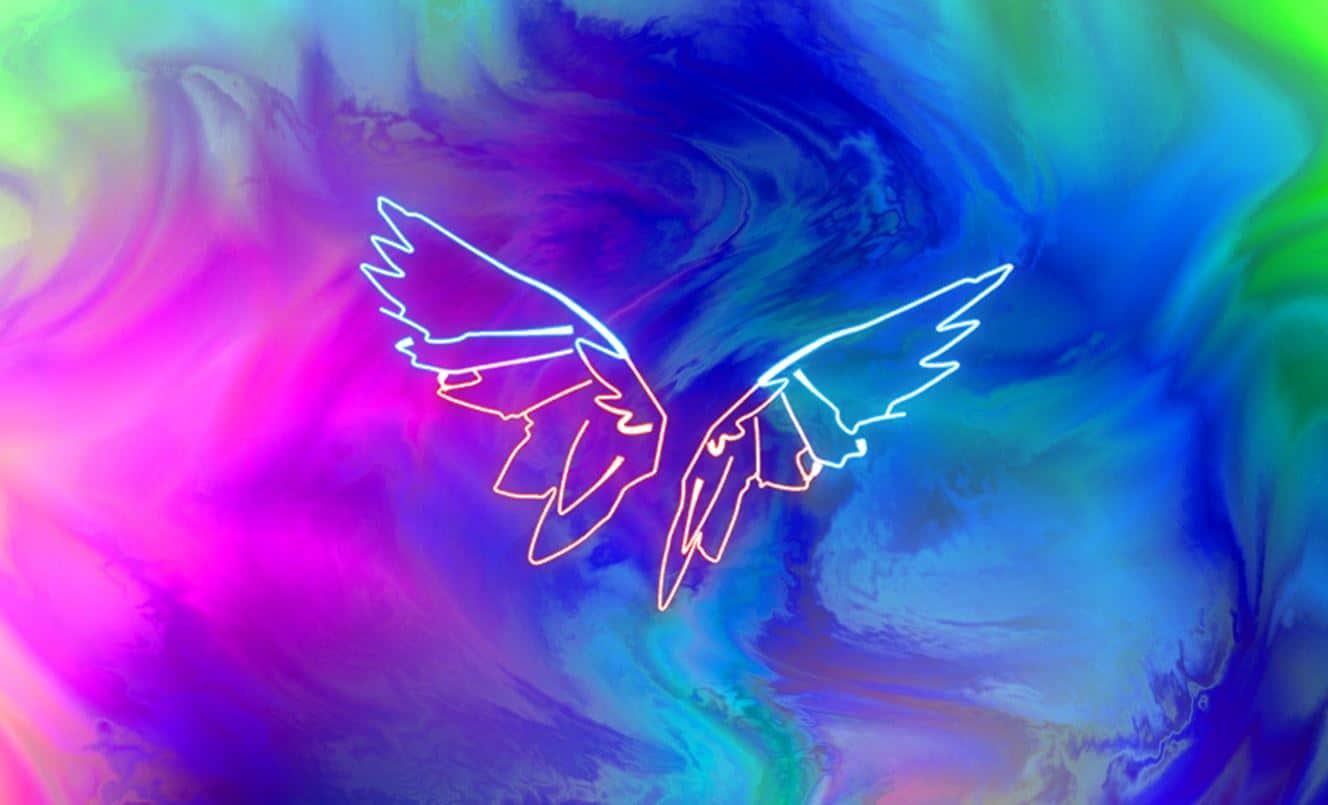 Neon Wings Fortnite