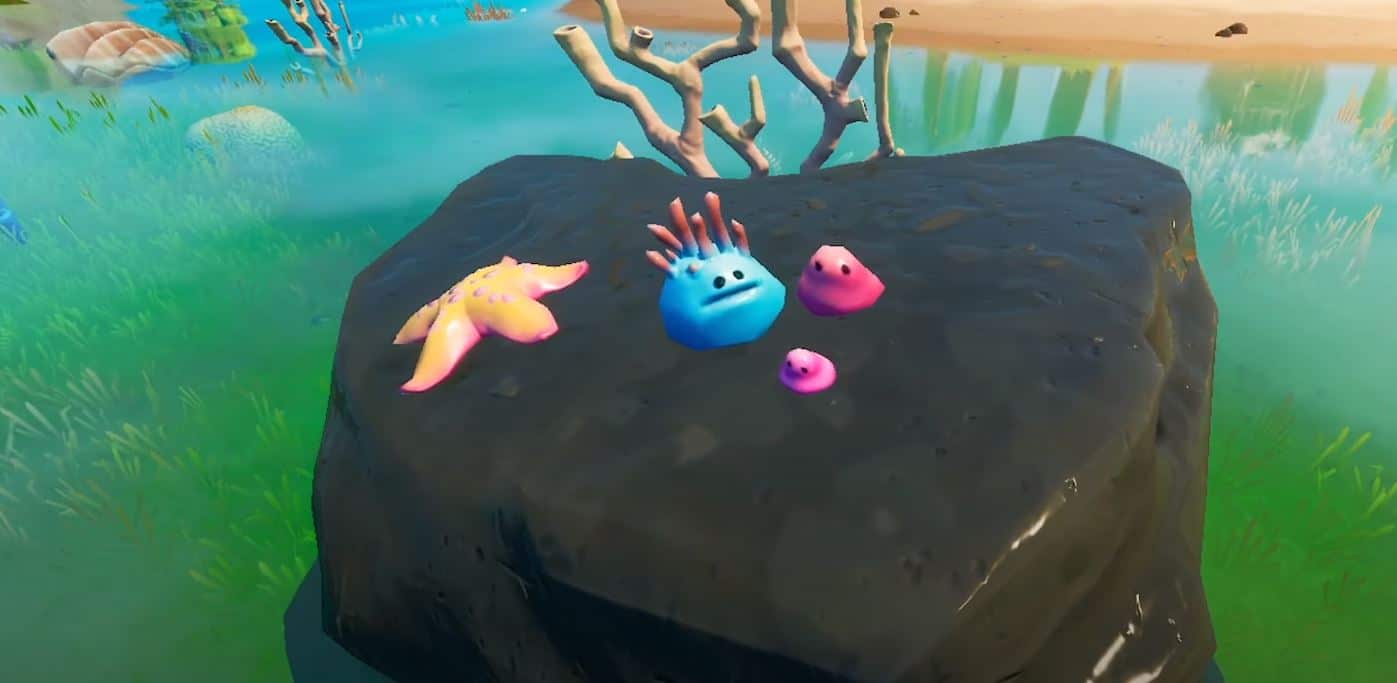 Fortnite Coral Buddies Location: How and Where to Indicate the Coral Buddies