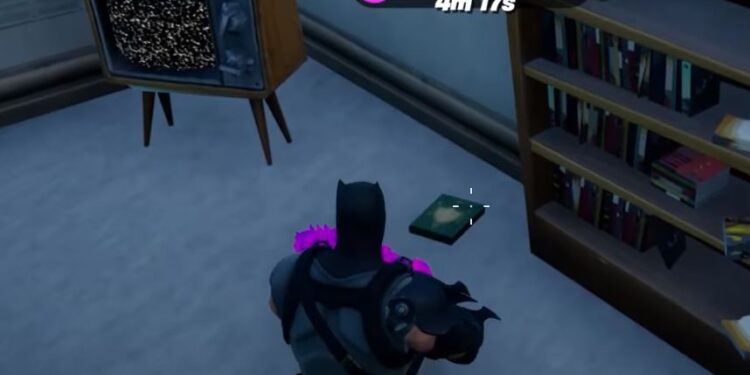 Fortnite Collect Research Books from Holly Hedges and Pleasant Park