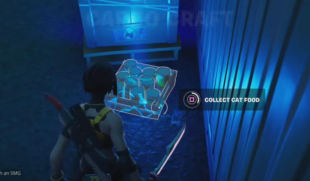 Collect Cat Food Fortnite Locations