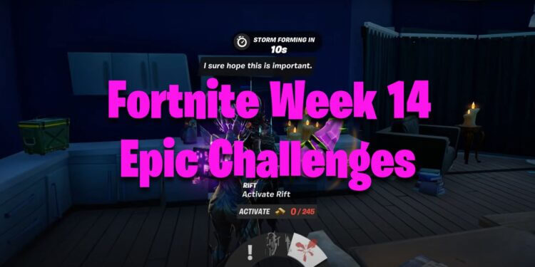 Fortnite Week 14 Epic Challenges