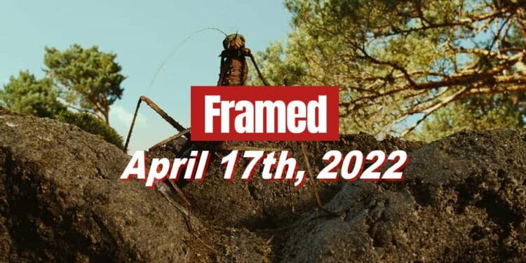 Framed 37 Movie - April 17, 2022