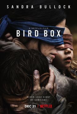 Framed 69 Movie Answer - Bird Box