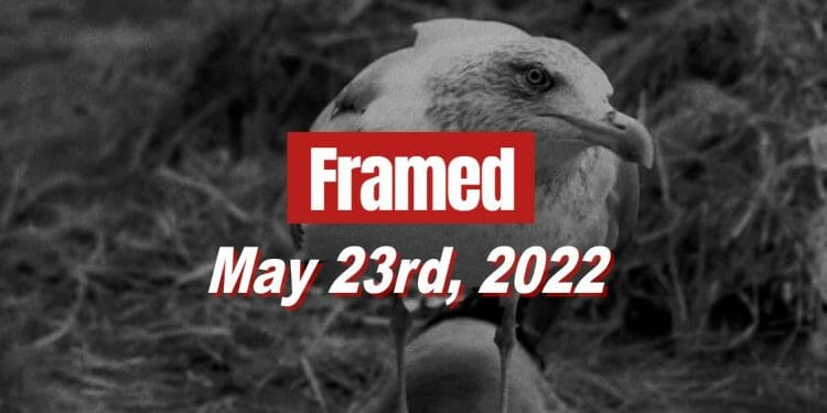 Framed 73 Movie - May 23, 2022