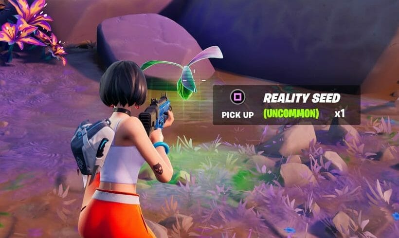 Fortnite Reality Seed