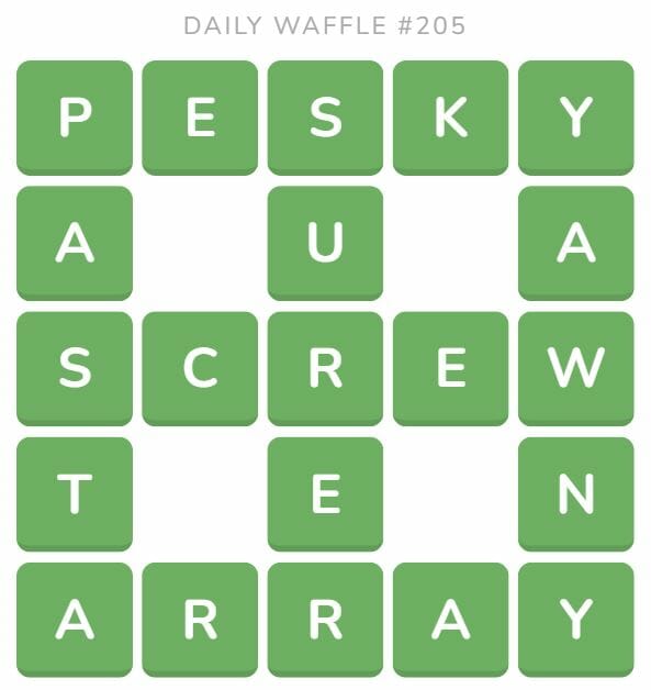 Daily Waffle Game 205 Answer - August 14th 2022