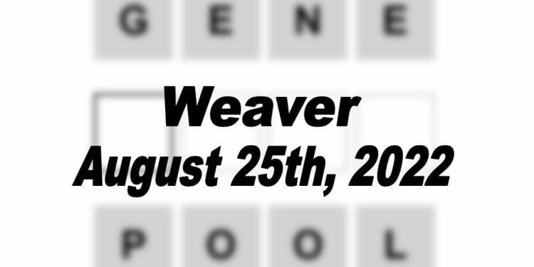 Daily Weaver - 25th August 2022