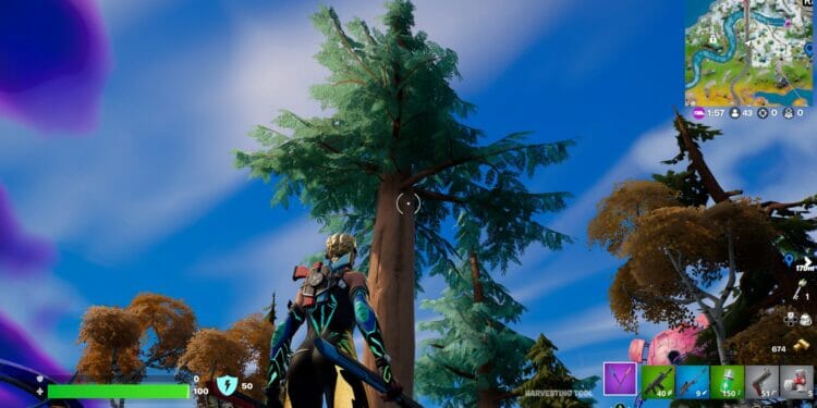 Fortnite Knock Down Timber Pine Location