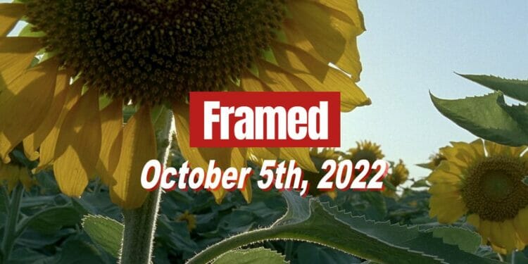 Daily Framed 208 Movie - October 5, 2022