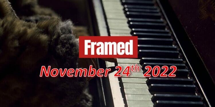 Daily Framed 258 Movie - November 24, 2022