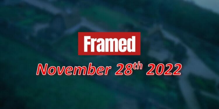 Daily Framed 262 Movie - November 28, 2022