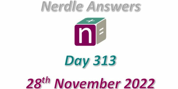 Daily Nerdle 313 Answers - November 28th, 2022