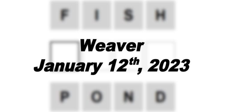 Daily Weaver - 12th January 2023