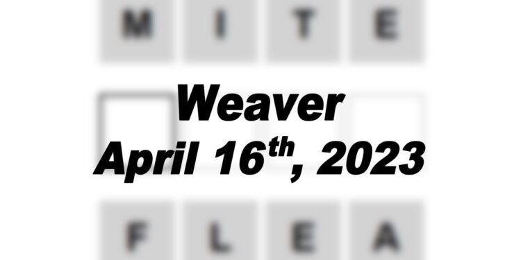 Daily Weaver - 16th April 2023