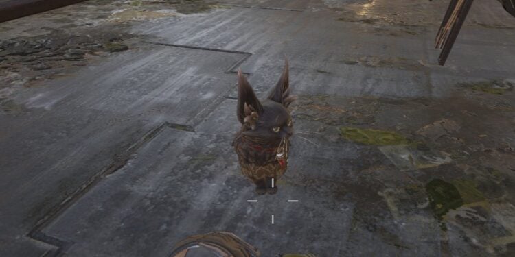 Apex Legends Season 25 Cat Teaser
