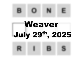 ‘Wordle’ Answer Today 1501 July 29th 2025 – Hints and Solution (7/29/25)