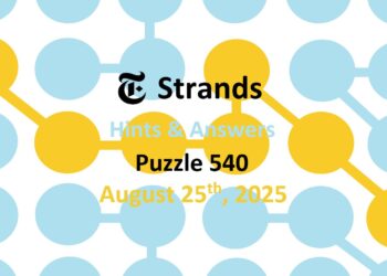 ‘Wordle’ Answer Today 1528 August 25th 2025 – Hints and Solution (8/25/25)