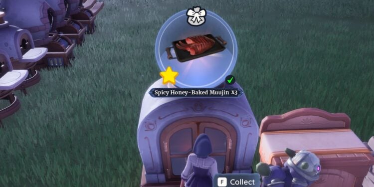 Starred Spicy Honey-Baked Muujin