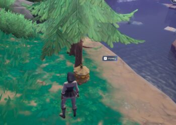 Where to find Honey in Palia? Map Locations