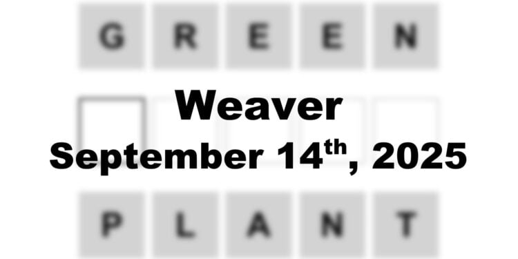 Weaver Answer - 14th September 2025