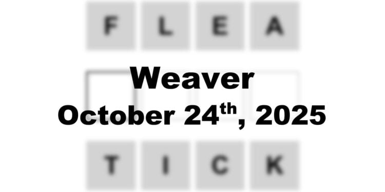 Weaver Answer - 24th October 2025