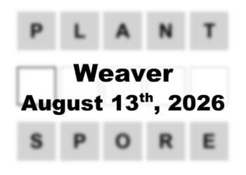 ‘Wordle’ Answer Today 1881 August 13th 2026 – Hints and Solution (8/13/26)